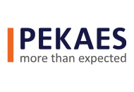 logo PEKAES